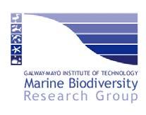 Research Group, Galway-Mayo Institute of Technology,