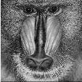 Baboon, Monarch, Pepper and Rice ) (b) Corrupted Images with 95% RVIN and (c) Restored Images by CCBD Algorithm The Fig.