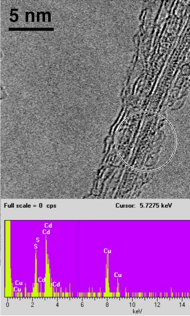 b) High-resolution image of a single walled carbon nanotube filled with cadmium sulphide, together with an EDX spectrum obtained from the area marked by the circle.