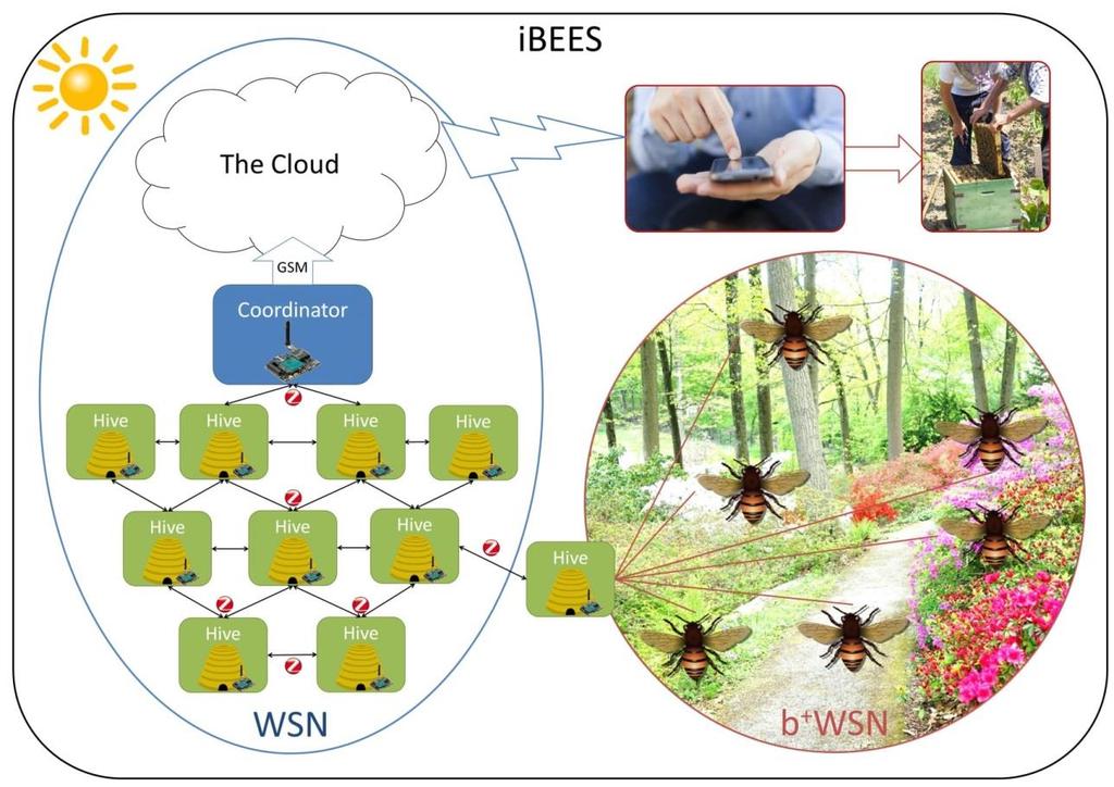 i-bees redefining the hive 1 st Prize, IEEE/IBM Smarter Planet Challenge, 2014 Team: F. Edwards Murphy, P. Whelan, L.