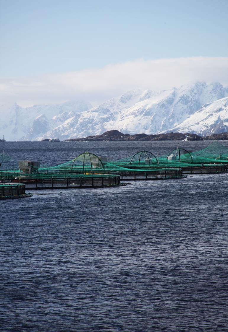 Special Focus: Sustainable Aquacultures As one of it s key industries, Norway in continuously developing aquaculture technology for future sustainability.