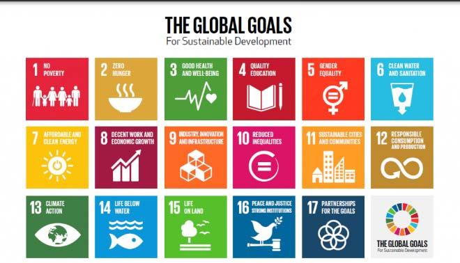 STI and the SDGs 17 Goals, but none