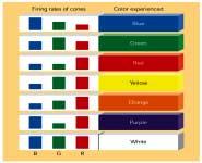 Three Types of Cones Each is sensitive to a different wavelength Red = 650-700 Nanometers Green =