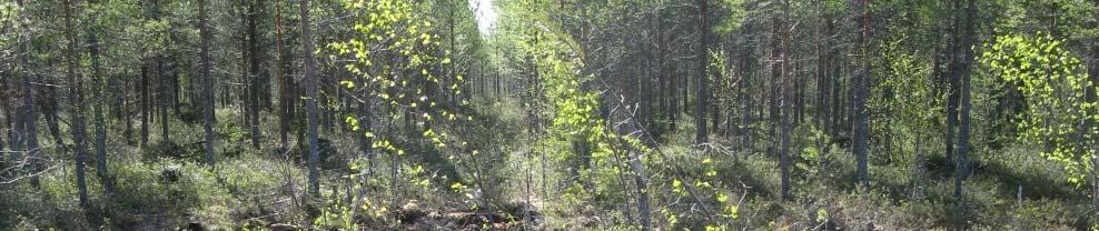 Threats to the Taiga Bean Goose in Finland List of