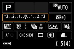 Exposure Compensation (+/ ) Exposure compensation allows you to make your photographs lighter or