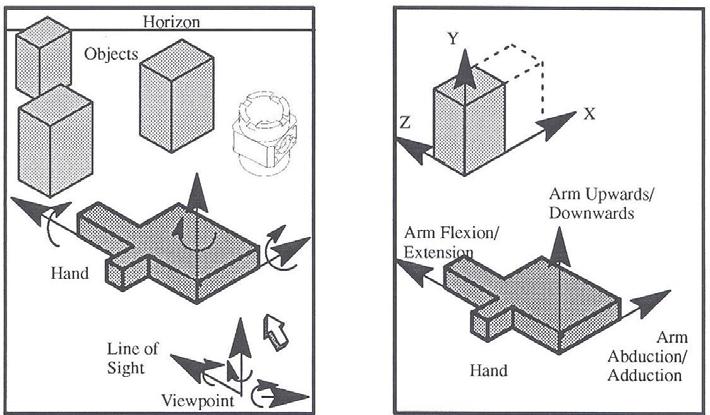 abduction/adduction and vertical motion are used to modify the dimensions of the object.