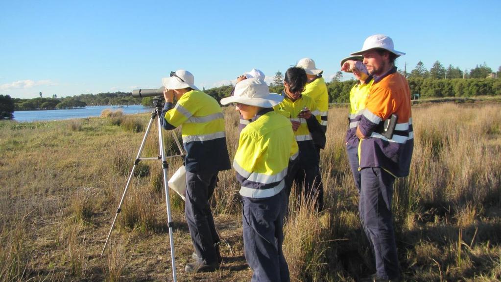 Shorebird Roost Rehabilitation at Stockton Sandspit Introduction Project Report 2016 Stockton Sandspit is a small but vital component of the Hunter Wetlands National Park and is regarded as one of