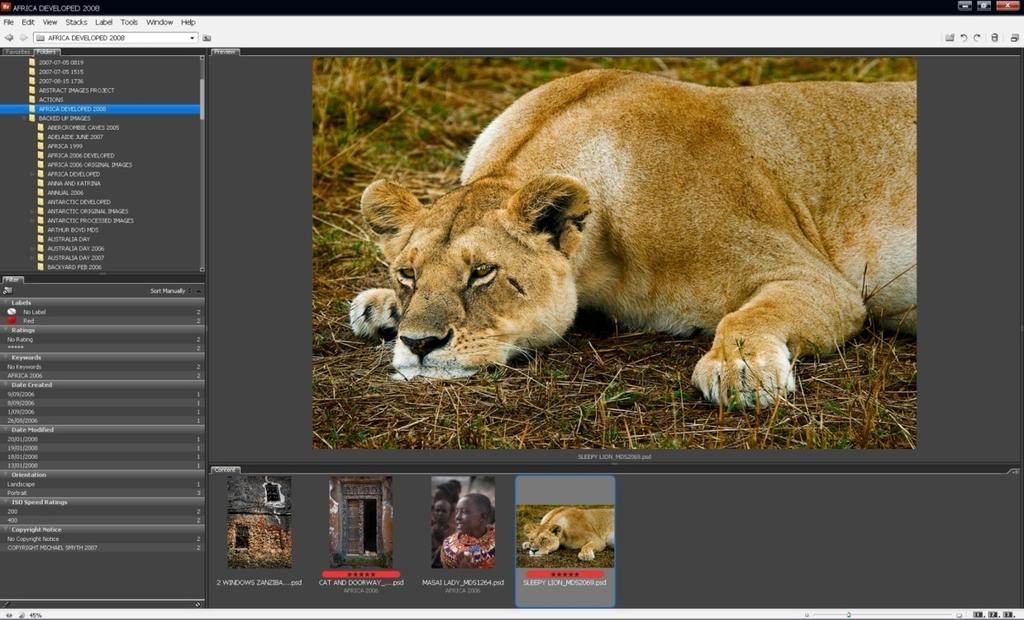 STEP 2: GETTING THE IMAGES INTO YOUR COMPUTER PHOTOTUTOR.com.au Download your images using Bridge, Lightroom or Adobe Photo downloader.
