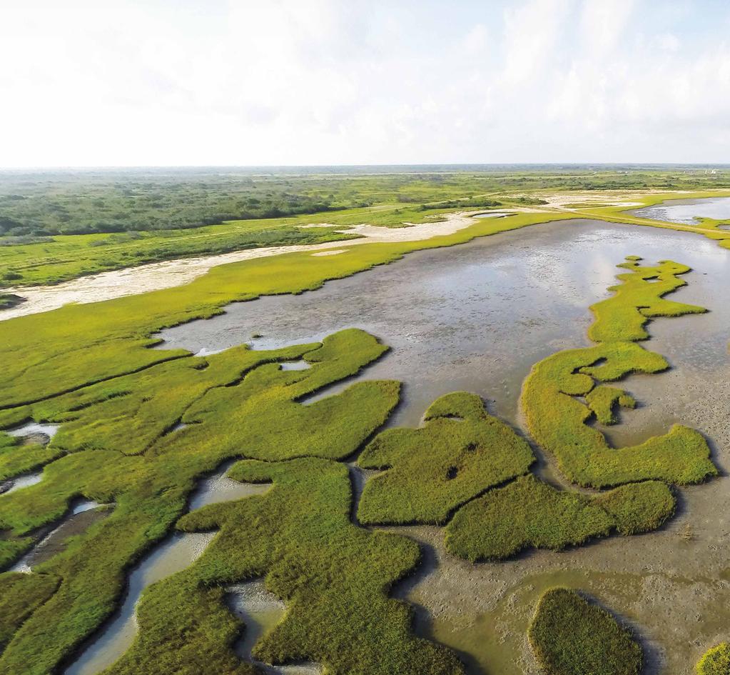 Mosaic of habitats Beach restoration in Louisiana The influx of billions of dollars in restoration funding from the GEBF and other spill-related sources has enabled state and federal agencies and