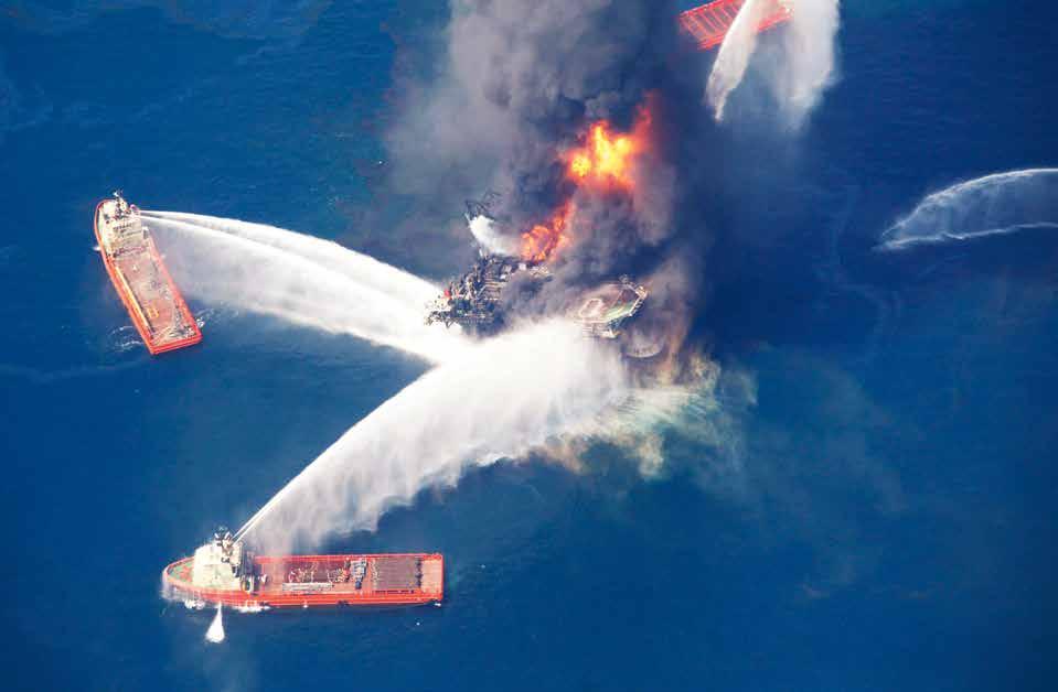 Atlantic Ocean and beyond. The 2010 Deepwater Horizon oil spill caused immediate and long-lasting damage to wildlife populations, with negative effects rippling through the entire marine food web.