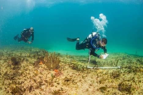 Survey Methods Fish & Macro-Invertebrate Surveys Fish Assemblage Survey Methods Estimates of fish abundance and biomass were completed using methods consistent with the Global Coral Reef Monitoring