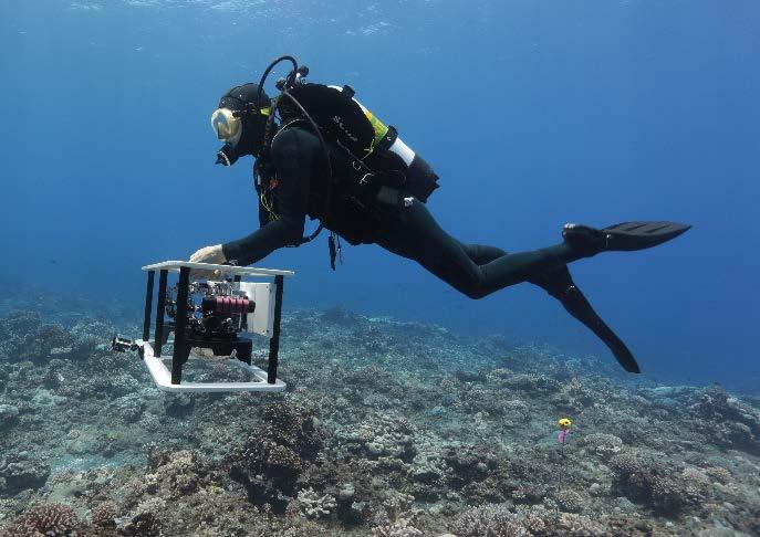 Further, by revisiting exact locations multiple times and replicating photography, we have an unprecedented opportunity to track the dynamics of corals and algae.