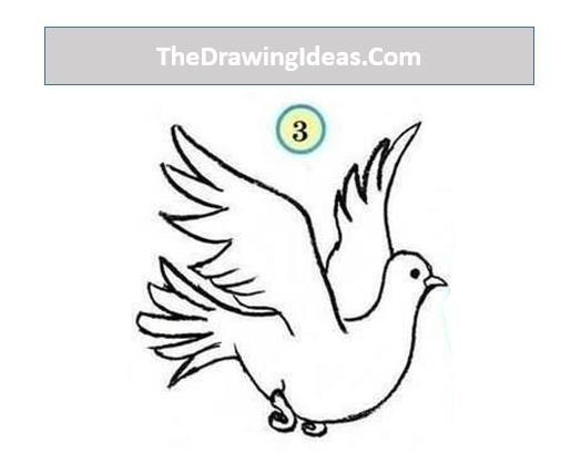 Step 4: Now in the final, color the dove drawing.