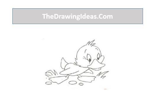 Step 4: Remove the extra lines with the soft eraser and then draw the grass on the floor along with some stones that gives the proper texture to the bird that is standing on the floor.