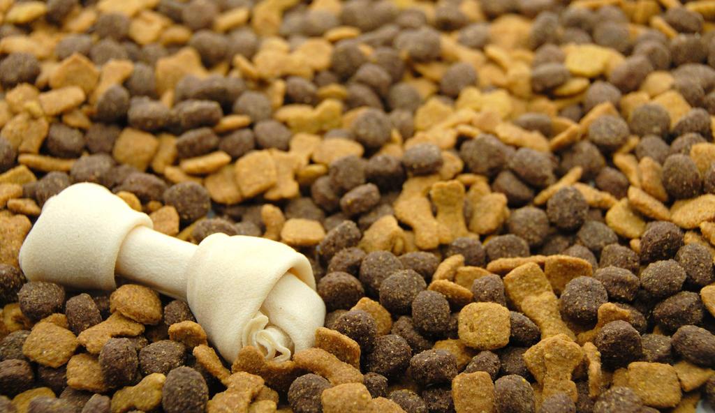 PET FOOD THE WELFARE OF ANIMALS IS WHAT DRIVES DINNISSEN TO DEVELOP OUTSTANDING PET FOOD PRODUCTION LINES.