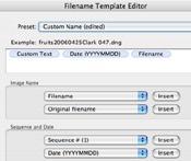 RENAMING Images To rename files in the Import dialog box, select one of the Copy or Move options from the File Handling menu. This displays File Naming options.