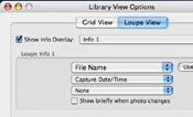 View options Toolbar The first thing you will want to do is set up the Grid and Loupe viewing options. 1 From the menu bar, choose View > View Options.