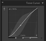 TONE CURVE (CONT.) GRAYSCALE CONVERSION The arrows at the bottom of the Tone Curve graph define the workable range of highlight, shadow, light and dark areas that will be reflected in the Tone Curve.