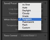 Adjusting MUltiple IMAGES USING Copy and paste (CONT.) 5 Change the White Balance menu to Tungsten. The file will turn blue.