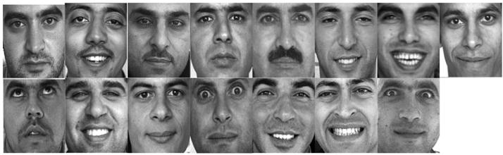60 Recent Advances in Face Recognition gender.