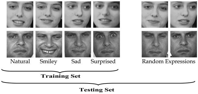 62 Recent Advances in Face Recognition Fig. 3. Examples of training and testing face images Fig. 4.