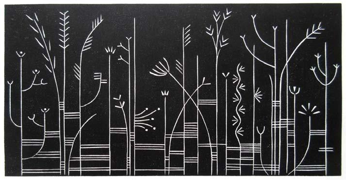 limited edition prints, drawings and bookworks: LATEST WORK Grasslines These prints have been