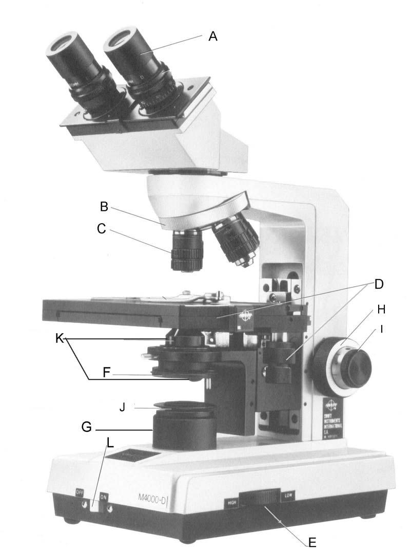 EXERCISE #1 PARTS OF THE MICROSCOPE Identifying and describing the parts of a light microscope.