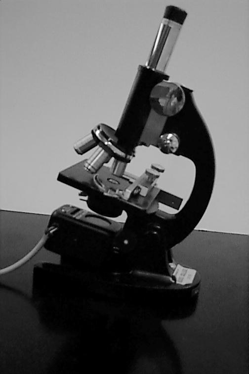 Exercise #1 Identifying and describing parts of a light microscope.