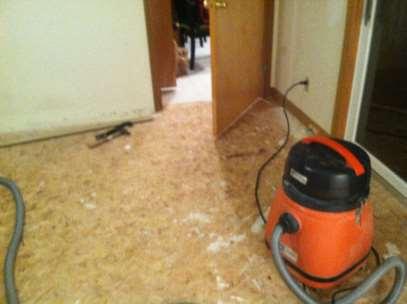 and all staples to plywood subfloor Flooring was stored in the