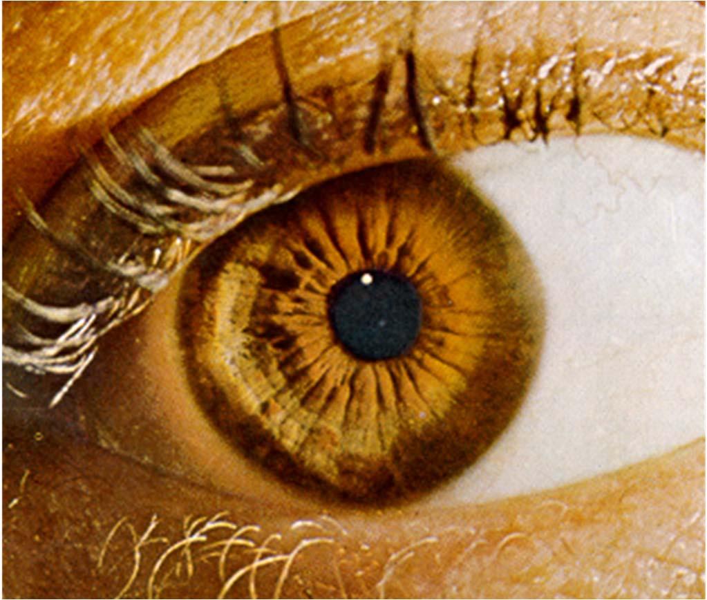 Eye adaptation Eye