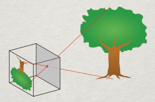 Introduction Visual Perception Image Formation Pinhole