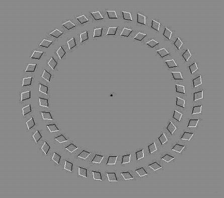 Introduction Optical Illusions concentrate on the dot