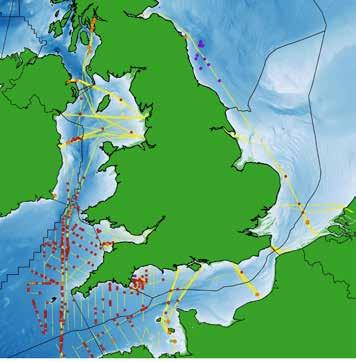 Figure 3: Distribution of MARINELife Common Dolphin (red circles), Bottlenose Dolphin (orange) and White-beaked Dolphin (purple) sightings in UK and surrounding waters in 2017 in relation to survey