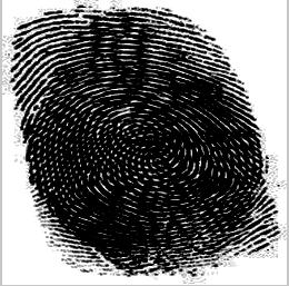 Fingerprint A Fingerprint B 2. After capturing the fingerprint we have to enter the name of the account holder so that we can save it for future use. 3.