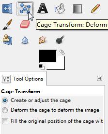 the Free Selection (Lasso) tool. A cage is a polygon built around a target portion of the image.