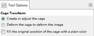 The tool adds nothing to the image until you confirm the transformation by pressing the Enter key. Cage Transform Tool options 11.