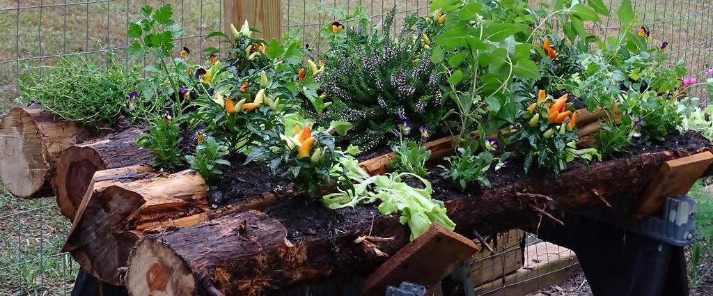 Quantity Desription Category Price each Total 8 Planters - Cedar Log Troughs, various sizes, will clean out or you can have the dirt. Décor 0.