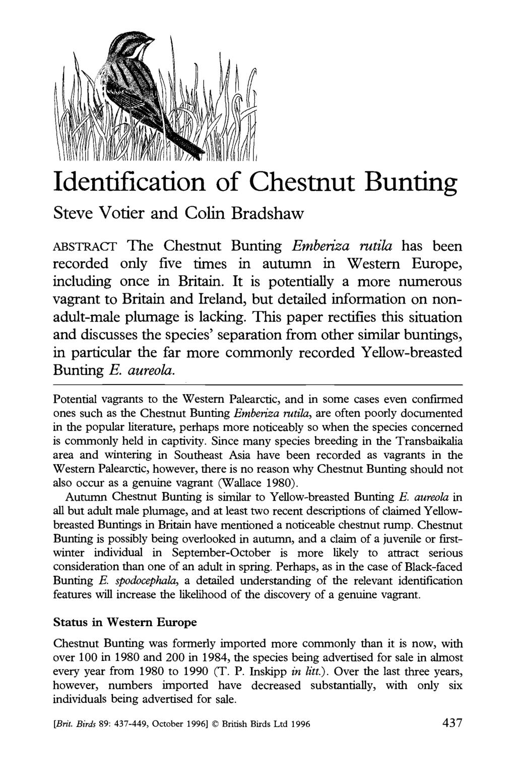Identification of Chestnut Bunting Steve Votier and Colin Bradshaw ABSTRACT The Chestnut Bunting Emberiza rutila has been recorded only five times in autumn in Western Europe, including once in
