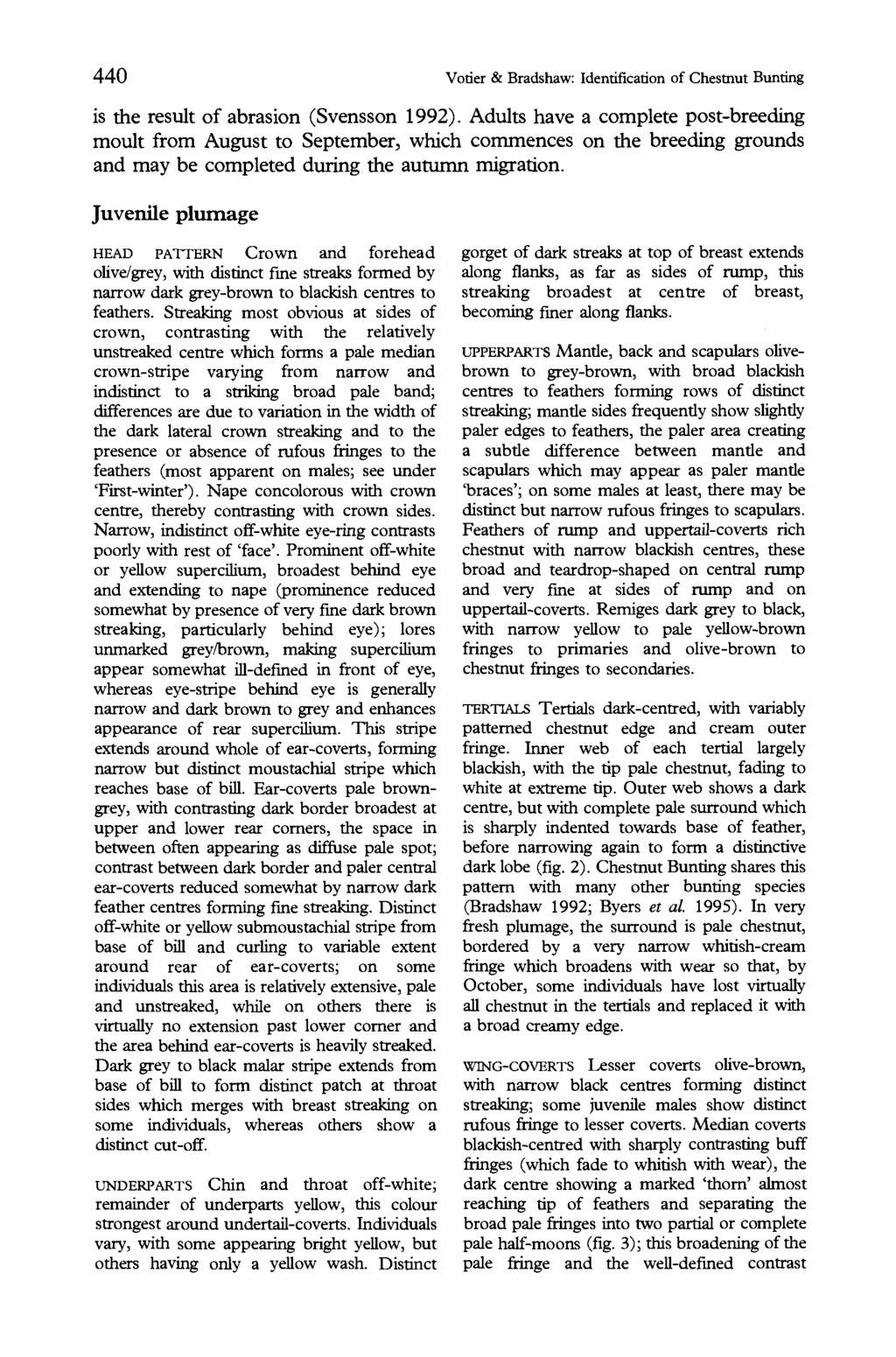 440 Votier & Bradshaw: Identification of Chestnut Bunting is the result of abrasion (Svensson 1992).