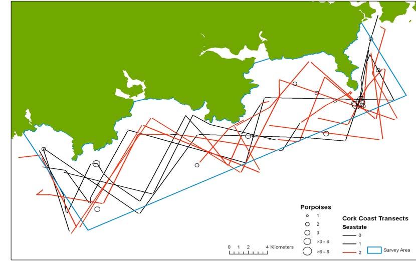 Cork coast To date five survey days have been completed in the Cork coast site (Table 8). The survey on 14 July was abandoned due to increasing sea-state soon after the start.