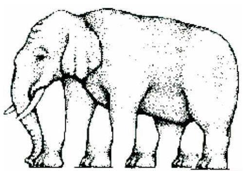 Strange elephant 29 Sometimes our brain can t perceive an image