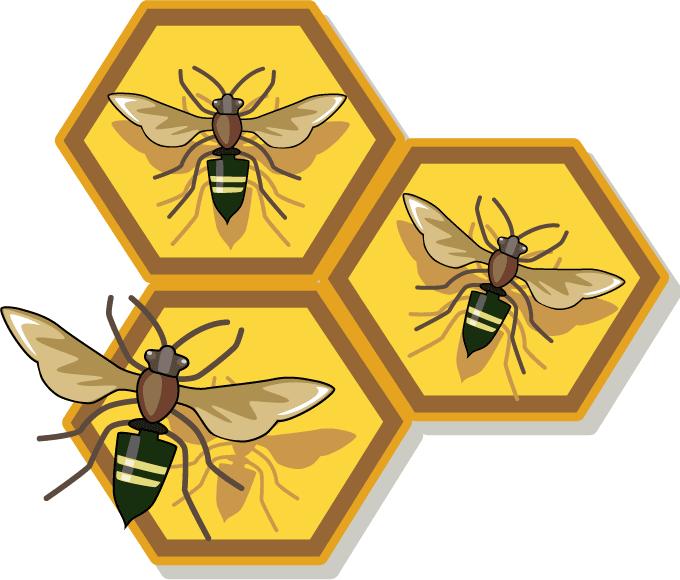 QUILTING BEES!