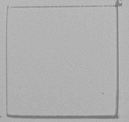 Changing drawing direction. SEM and 3D AFM of the same square. The lines were drawn on n-type silicon with a 100 nm nanopen tip with a speed of 8 µm/s.