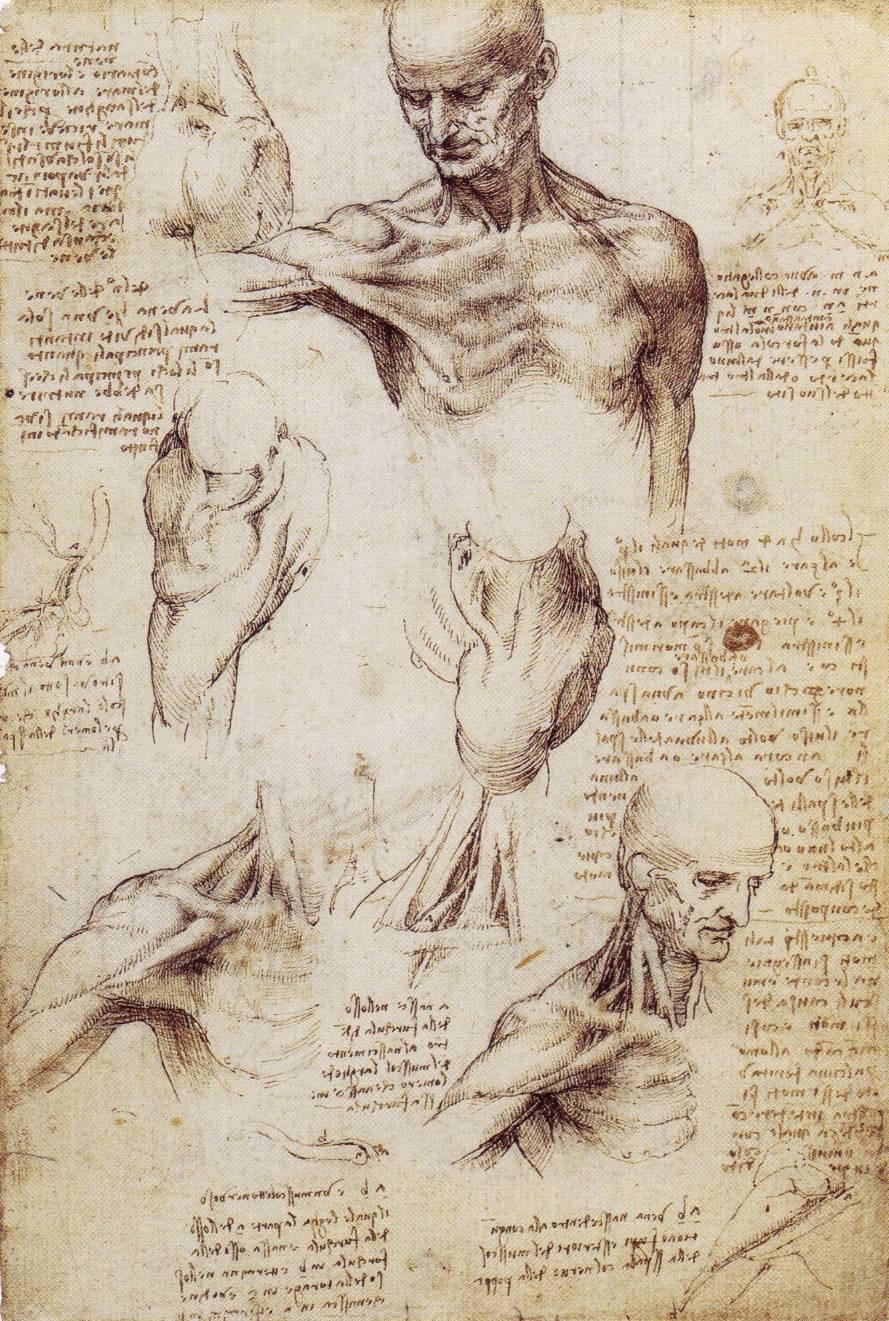 Availability of paper during the Renaissance gave artists more opportunity to: - work out ideas