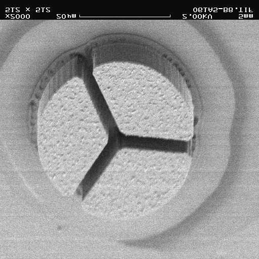 30 Annual Report 2006, Institute of Optoelectronics, Ulm University 2. Densely Packed Wedge-haped VCELs in 2-D Arrays Figure 1 shows a triple of wedge-shaped VCELs.