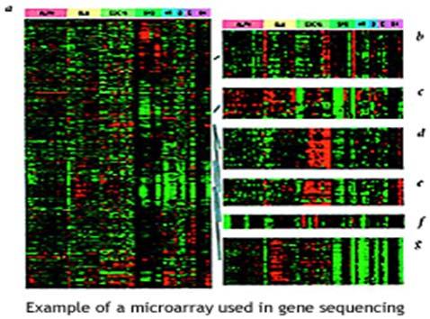 regions on DNA Analysis of DNA micro-array and proteomic MS profiles: find