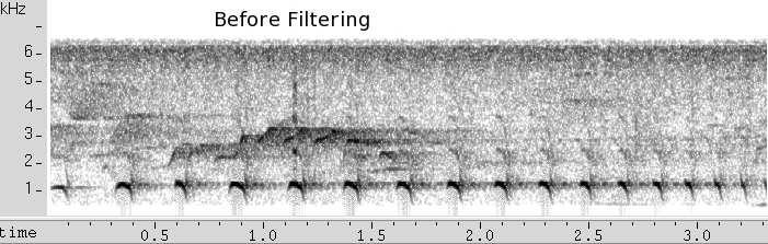 Correlation-Maximization Filter The frequency response of the CM filter for a GAS call enhanced the the target bird call; minimized the interference introduced by background noise and other bird.