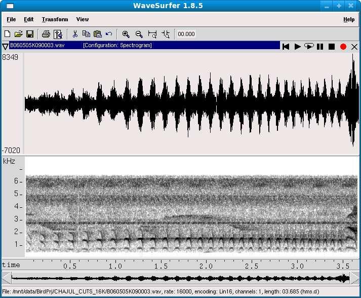 Waveform and spectrogram of