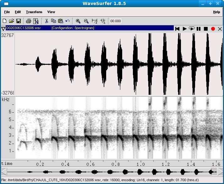 Waveform and spectrogram