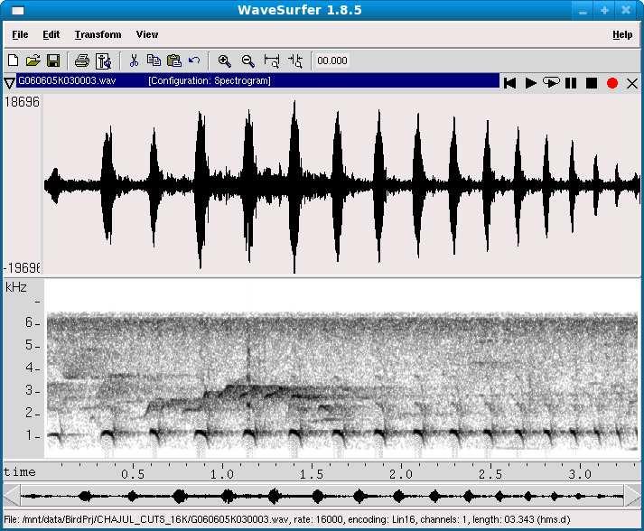 Waveform and spectrogram of